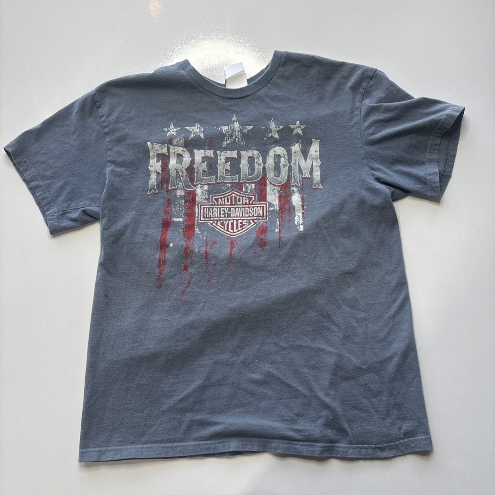 Harley Davidson Men's Graphic T-Shirt Size L Freedom High Octane Billerica MA
